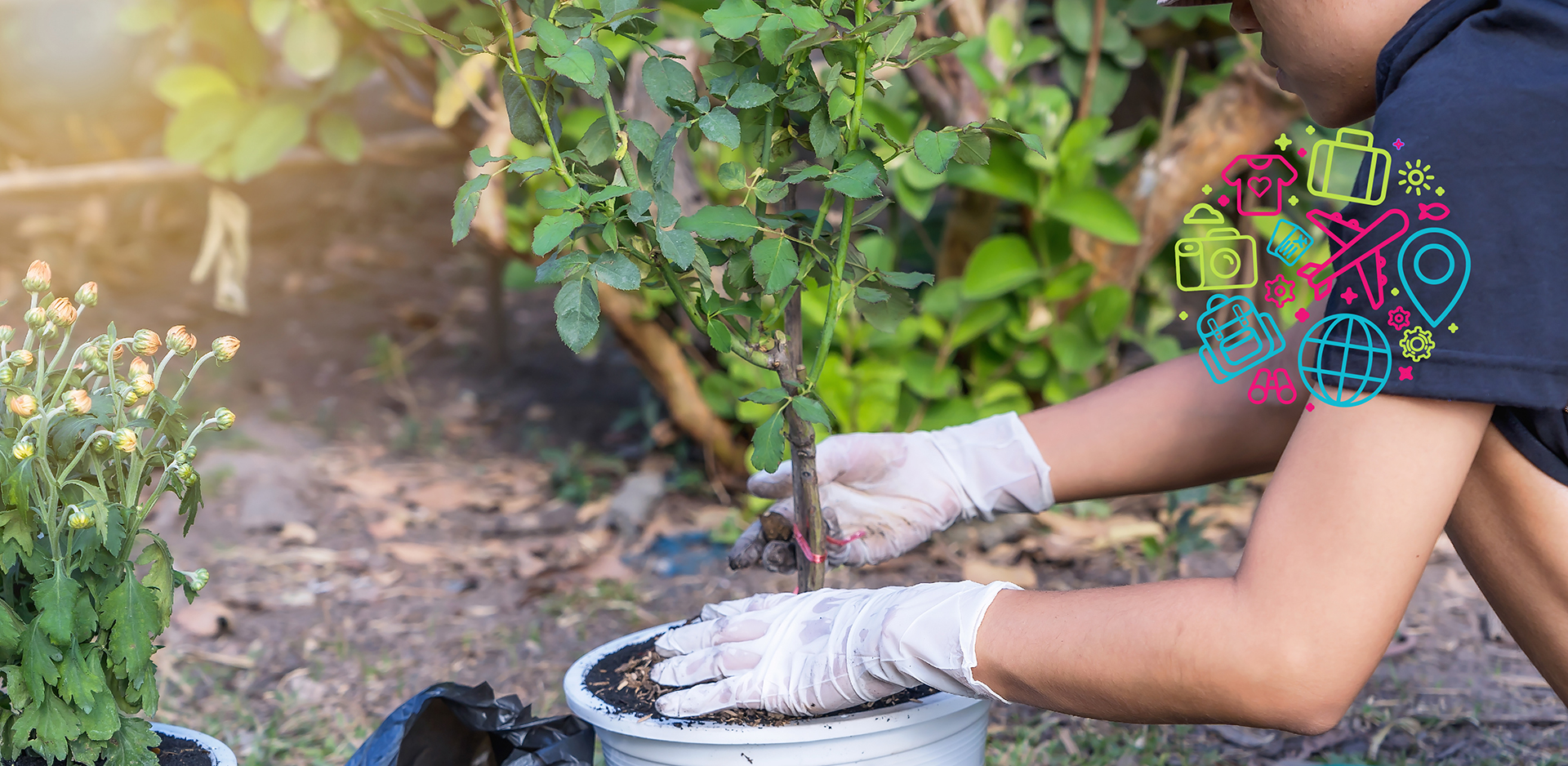 jovem a plantar 