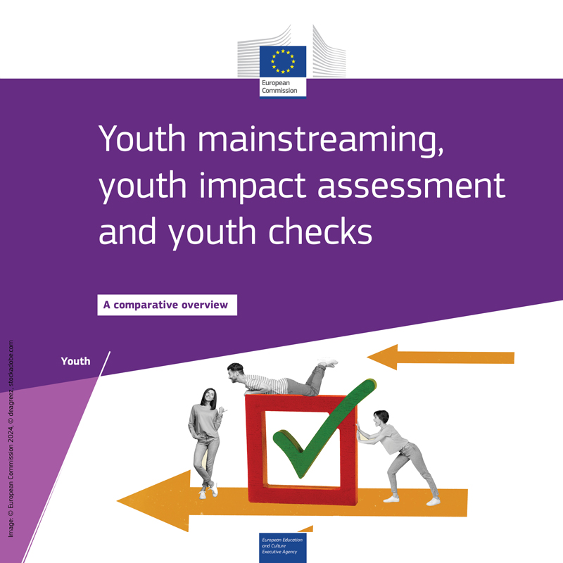 Capa do livro com o lettering «Youth mainstreaming, youth impact assessment and youth checks»