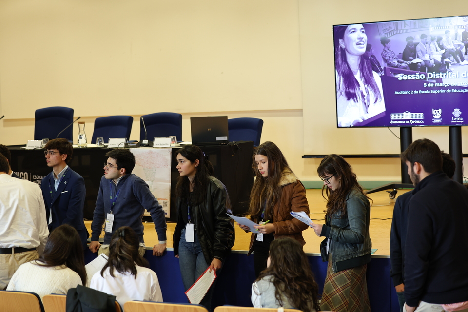 trabalho de grupo parlamentar