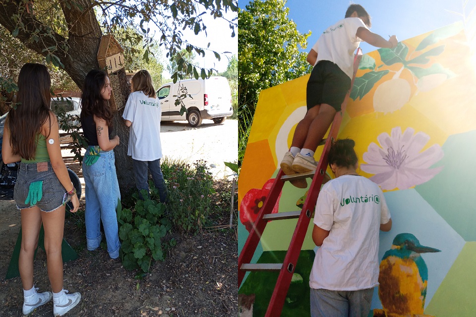 Voluntariado Jovem no Parque Ecológico da Várzea 2024_foto2