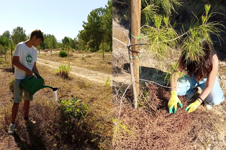 Voluntariado Jovem no Parque Ecológico da Várzea 2024_foto3