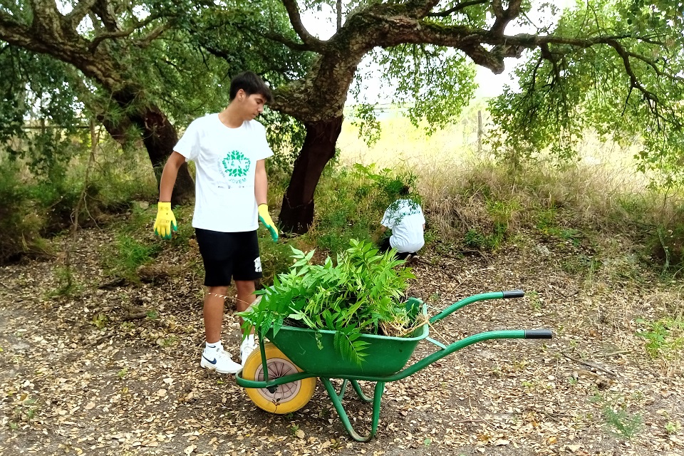 Voluntariado Jovem no Parque Ecológico da Várzea 2024_foto4