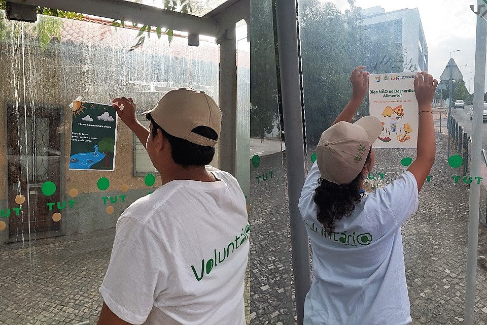 Voluntariado Jovem para a Natureza e Florestas-projeto Reciclar Ideias