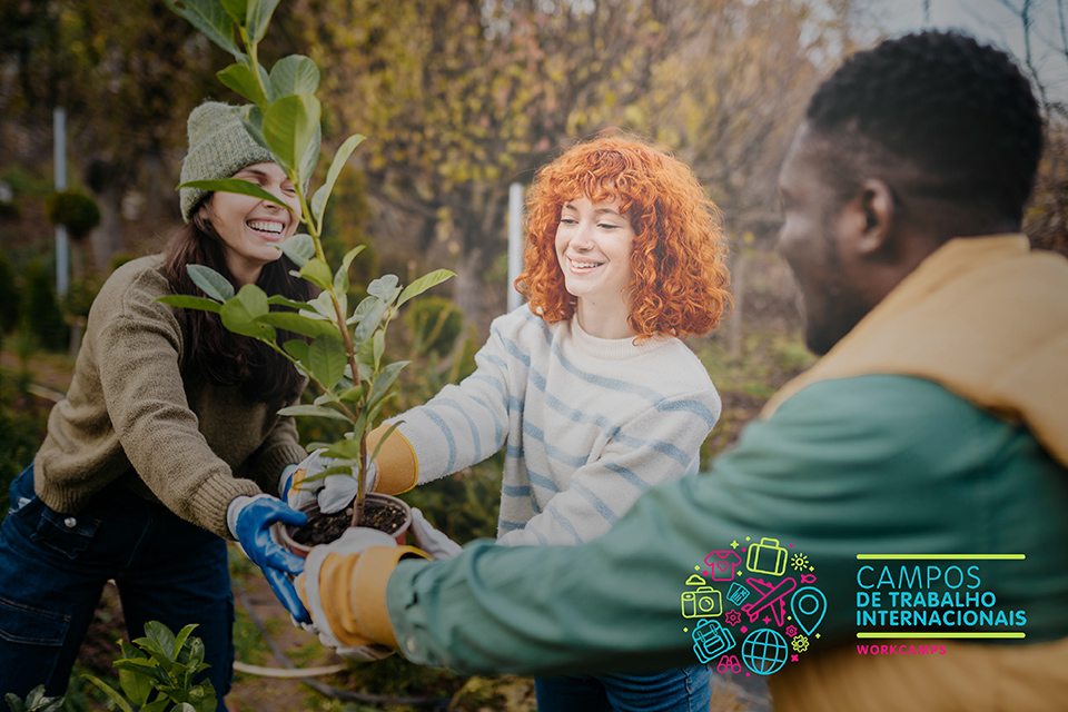 Três jovens com um vaso com uma árvore