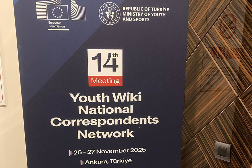 lettering 14.º Encontro da rede de correspondentes nacionais da Youth Wiki em inglês