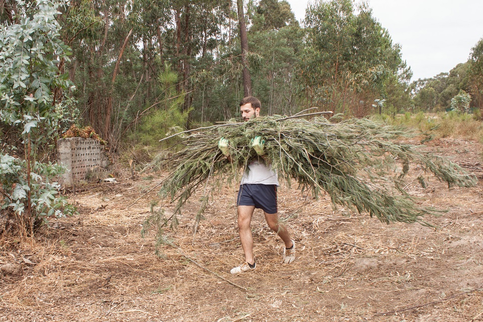 voluntário a transportar material recolhido para após limpeza de espaço