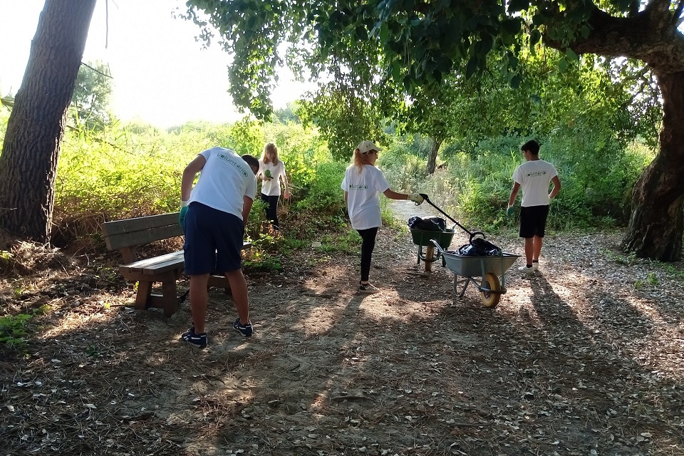 voluntários a limpar parque