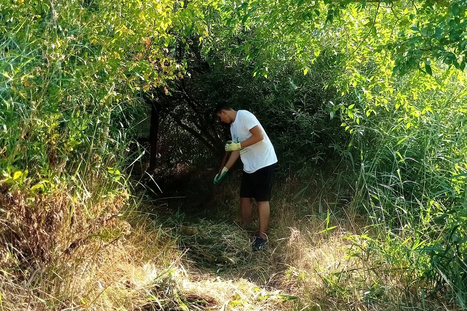 voluntário a limpar parque ecológico