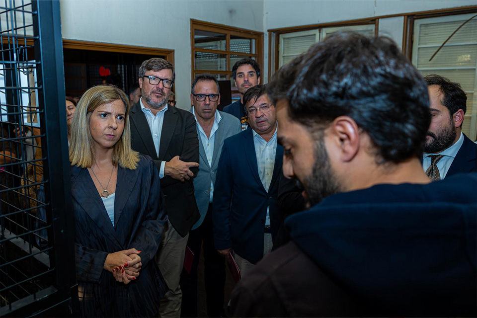 apresentacao da rede projetos artistas emergentes