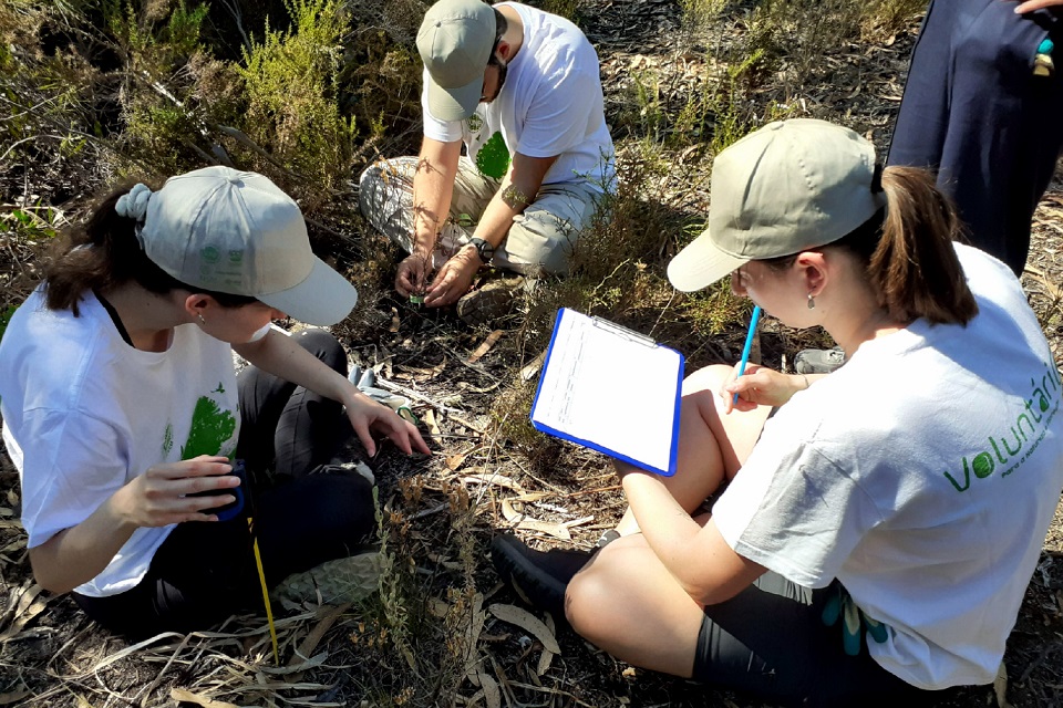 Foto de jovens em atividade de inventariação e restauro ambiental
