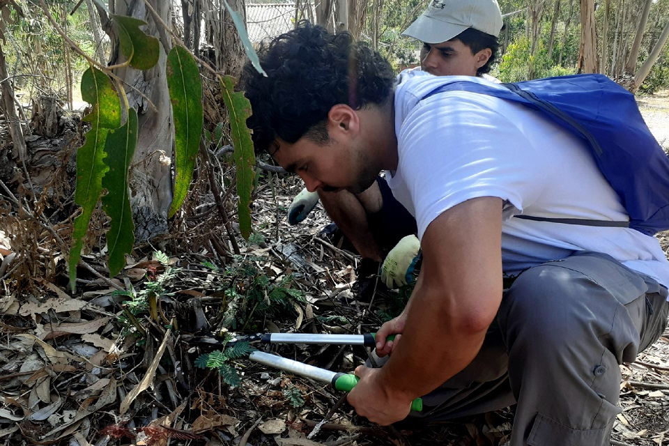 Foto de jovens em atividade de inventariação e restauro ambiental