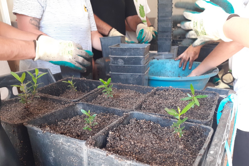 Foto de jovens em atividade de inventariação e restauro ambiental