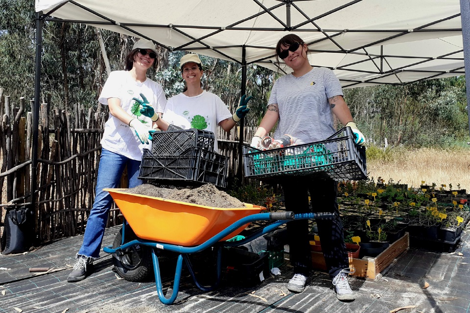 Foto de jovens em atividade de inventariação e restauro ambiental