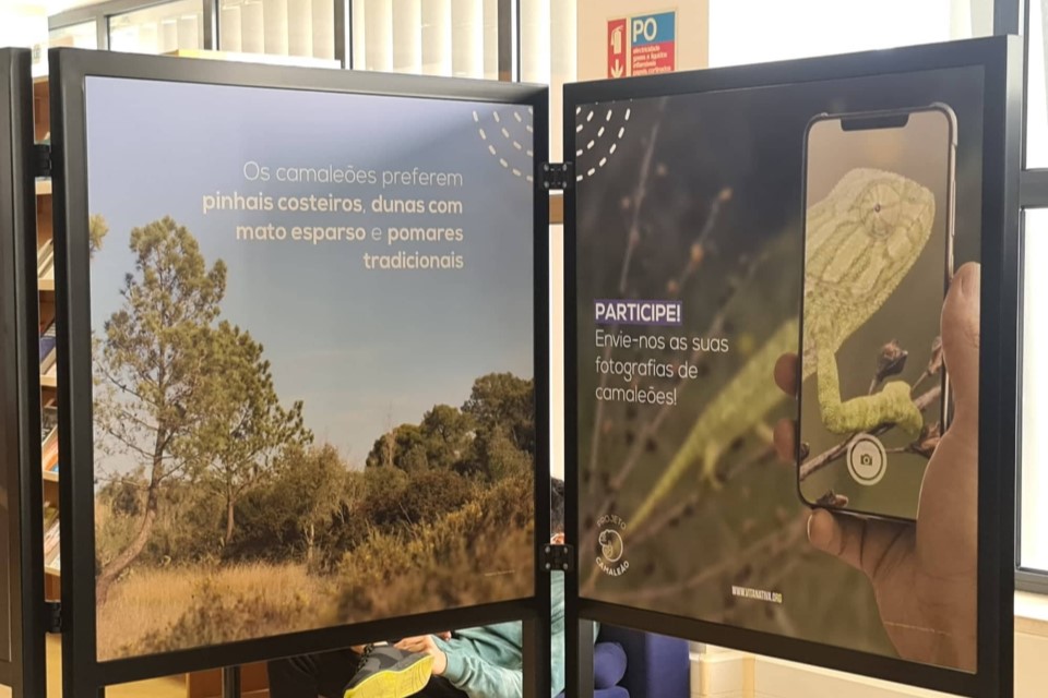 Exposição Conhecer o Camaleão