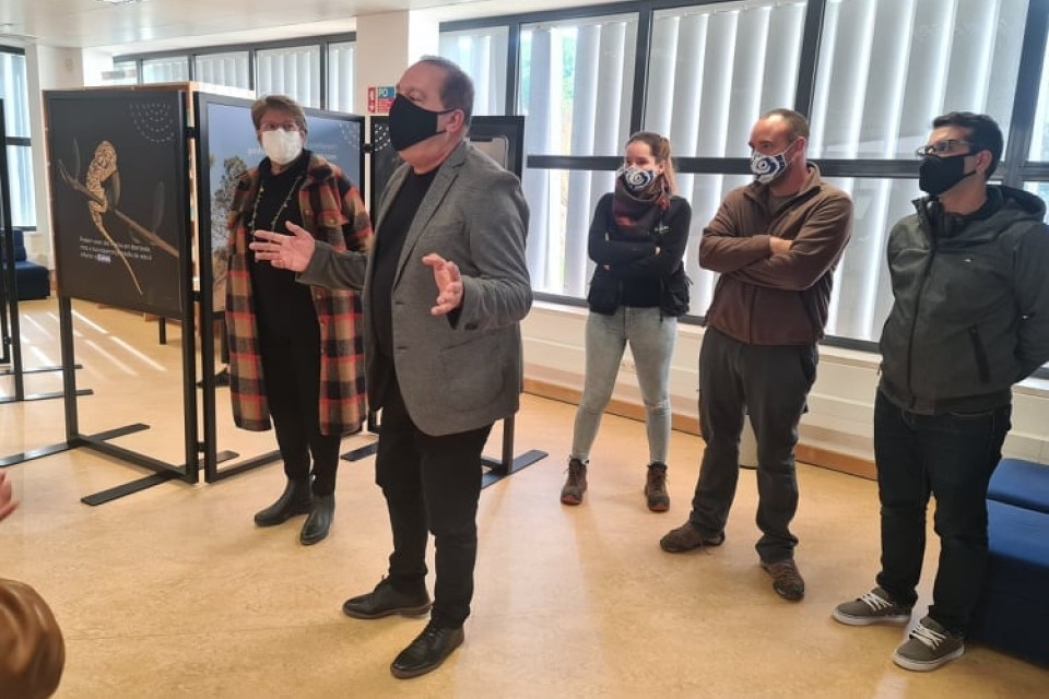 Exposição Conhecer o Camaleão