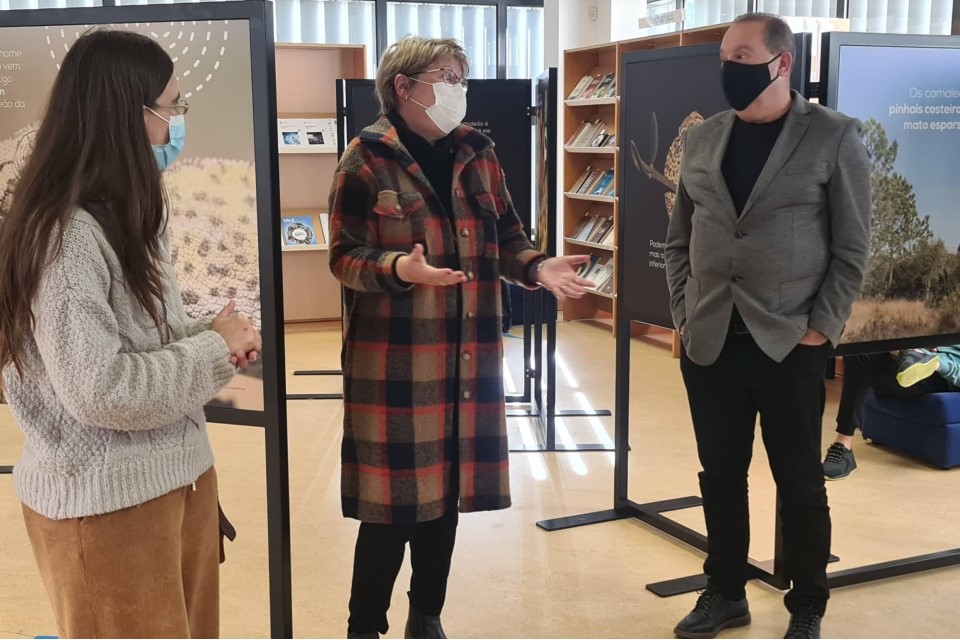 Exposição Conhecer o Camaleão