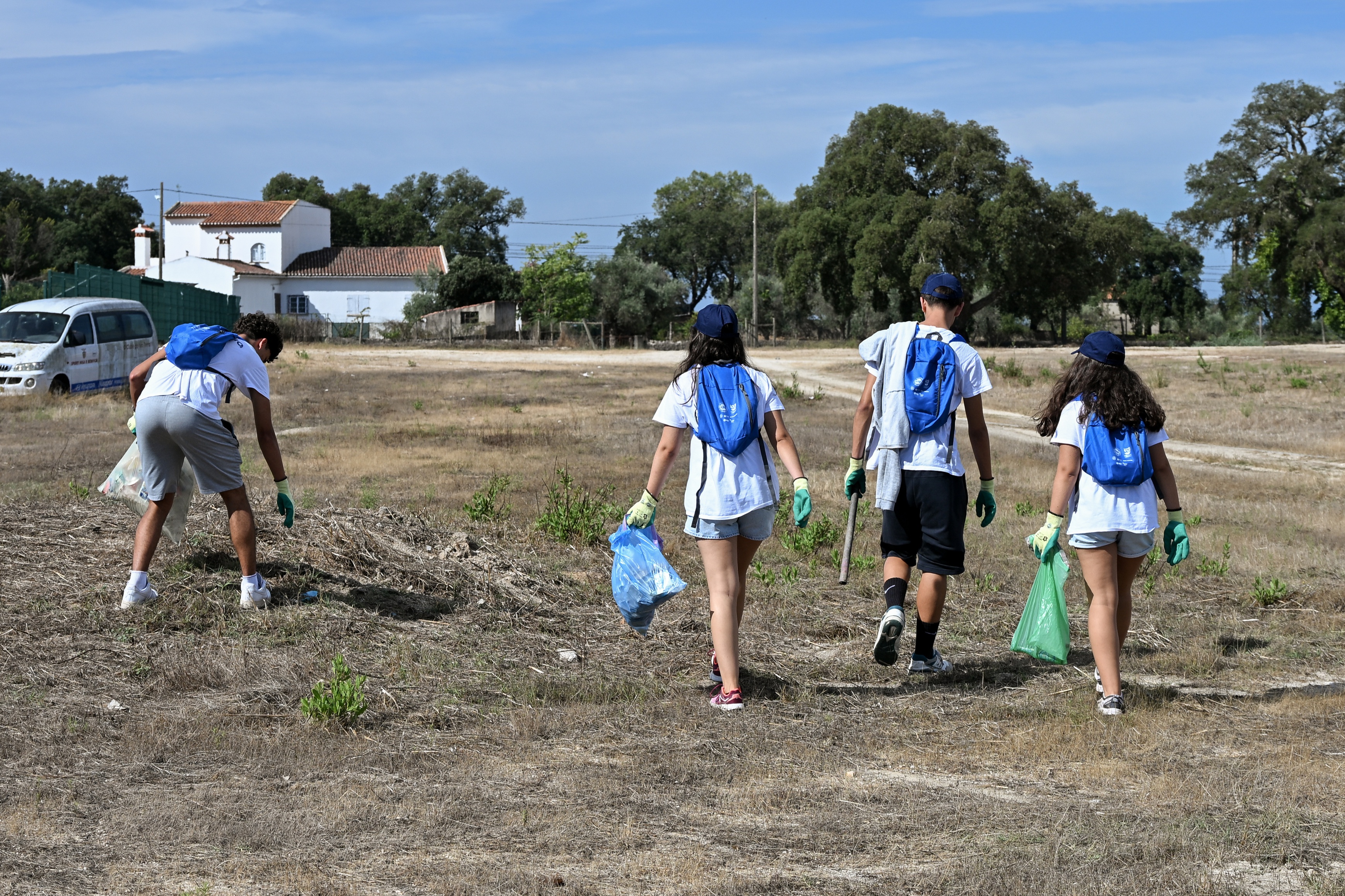 Quatro jovens voluntários a recolherem o lixo espalhado pelo campo.